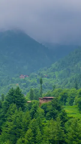 Beautiful Tirah valley Maidan ⛰️🌸                     #tirahvalley #naturevibes #peaceful #watan #shahab_afridi313 