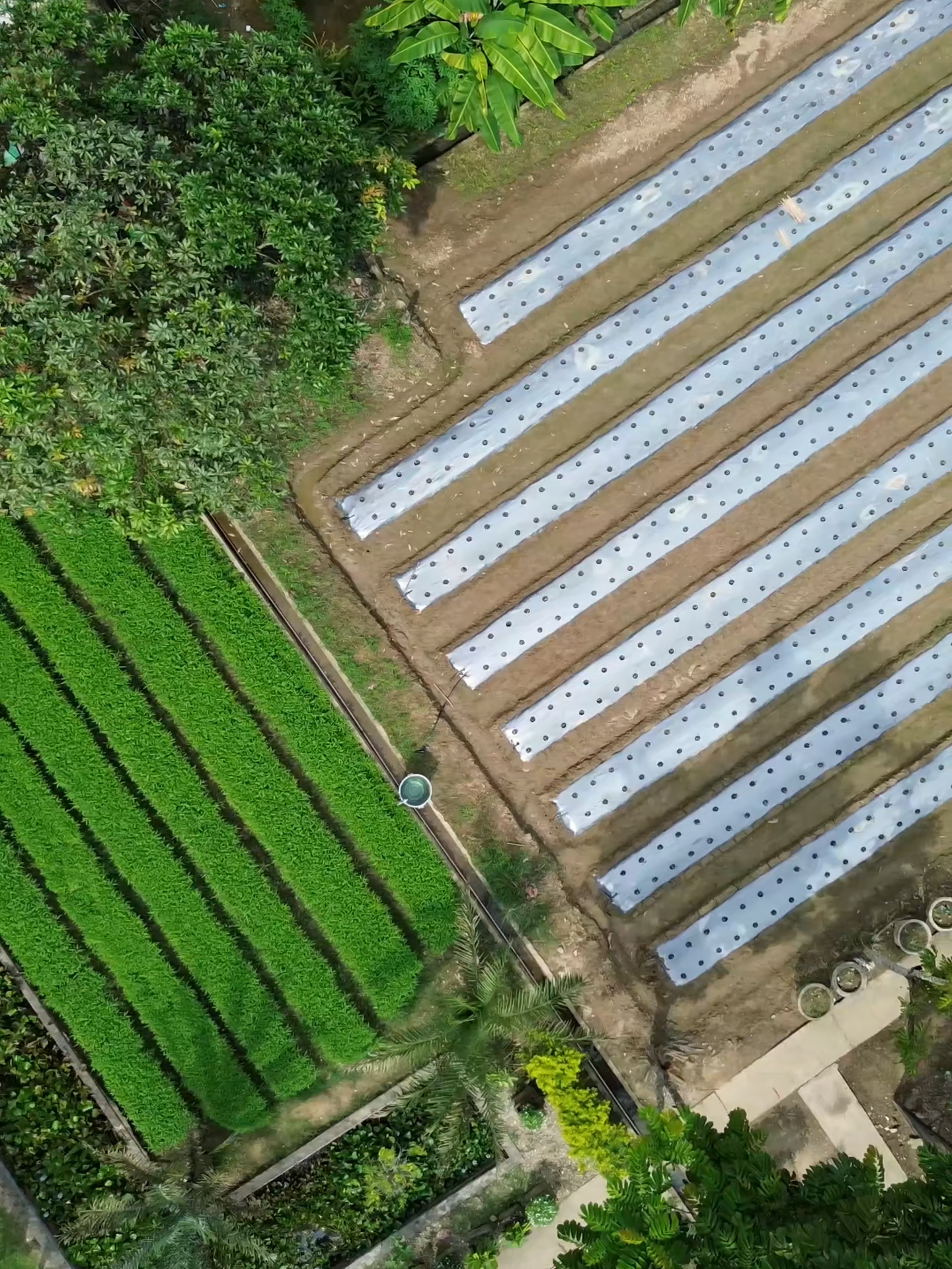 Dari Lapas Pasir Pangarayan untuk Ketahanan Pangan Negeri