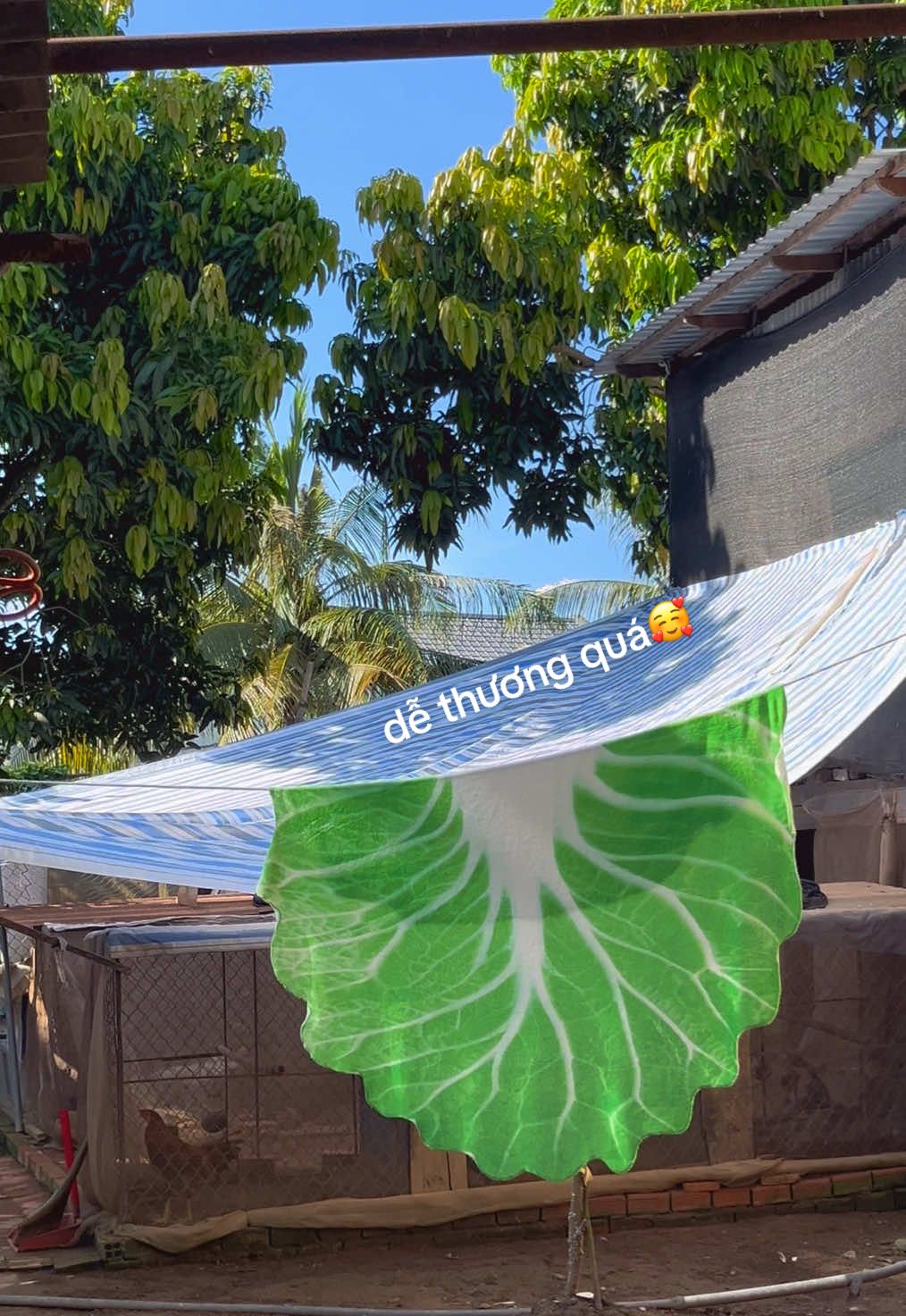vừa dễ thương vừa mềm mịn#menchobe #xh #xhtiktok 