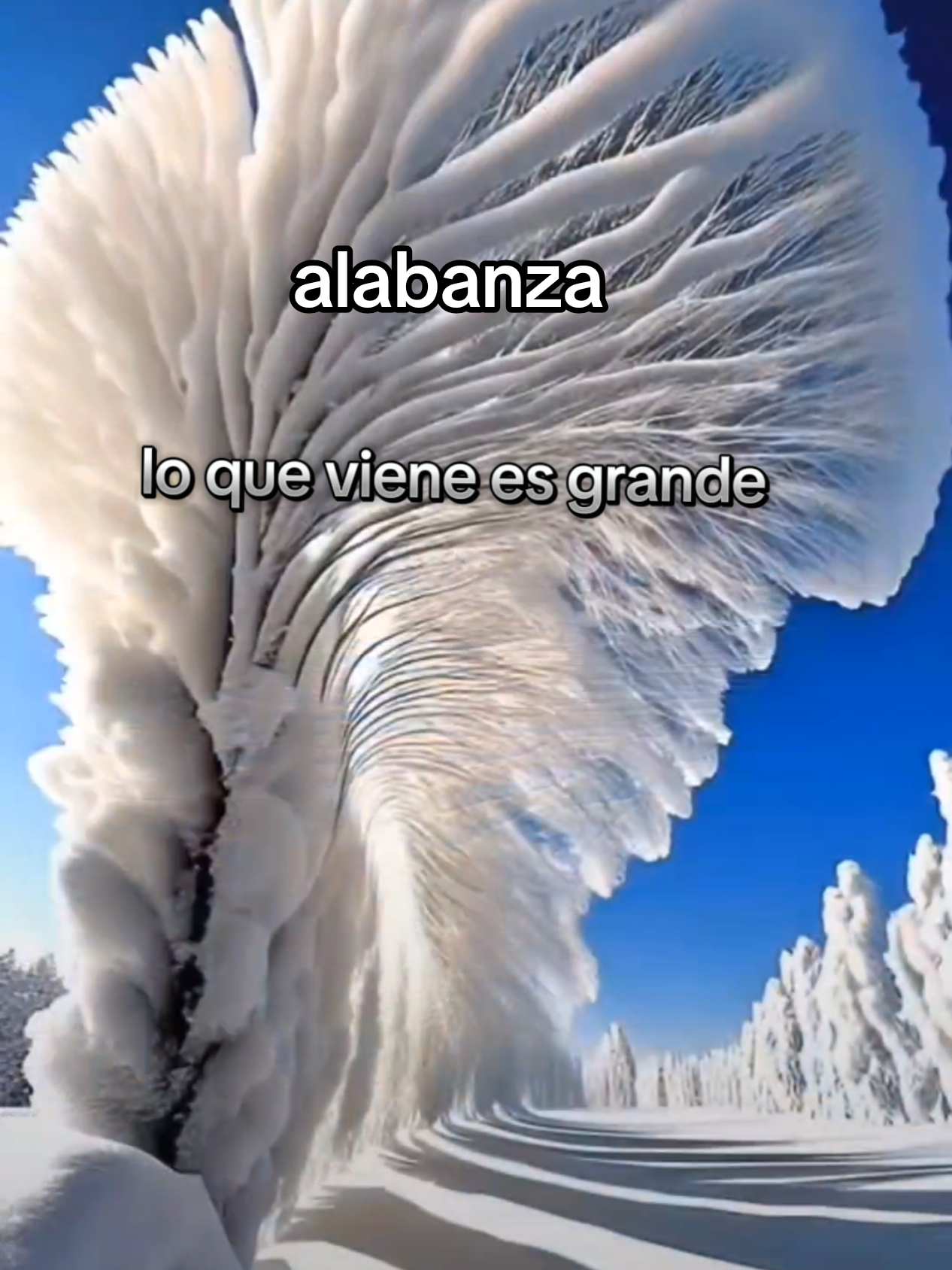 lo que viene es grande . confia en Dios #alabanza #alabanzas_cristianas #musica #christiantiktok #diosteama 