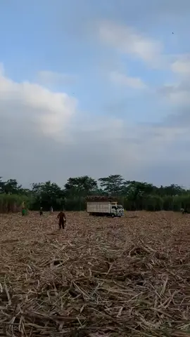 Alhamdulillah 🤲