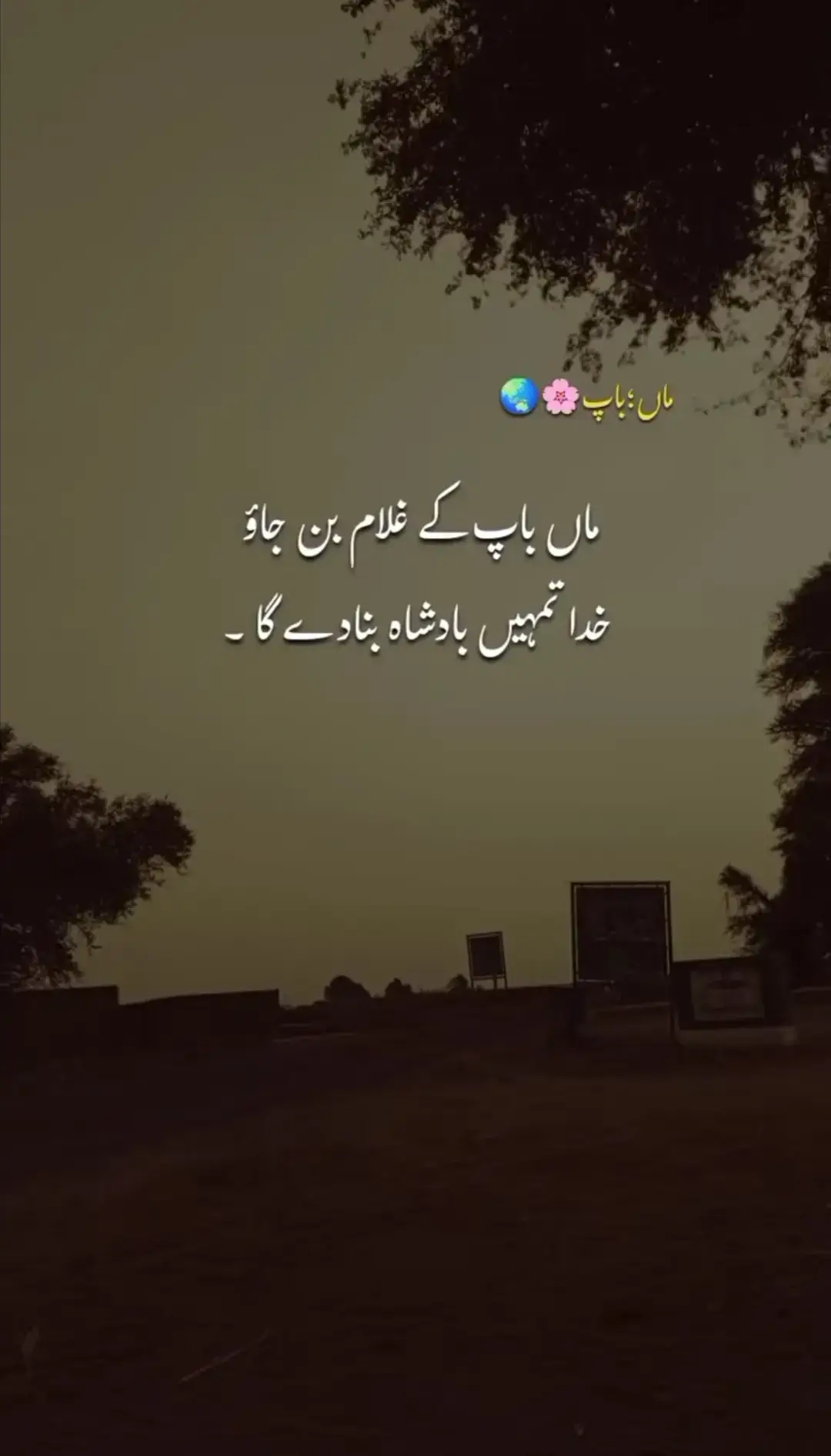 #poetrystatus #fyp #goviral #growmyaccount #unfreezemyacount @TikTok 