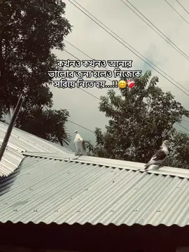 কখনও কখনও অন্যের ভালোর জন্য হলেও নিজেকে সরিয়ে নিতে হয়...!😊❤️‍🩹#BrokenHeart #SadVibes #foryoupage #ashik_naki #foryou 
