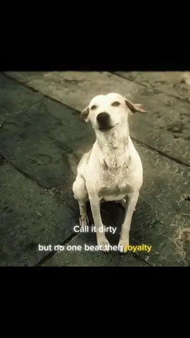 Dirty? Maybe. Loyal? Always. . . . . . . . .#animallovers #animeloverboy322 #animel #viral 