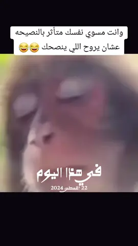 #في هذا اليوم 