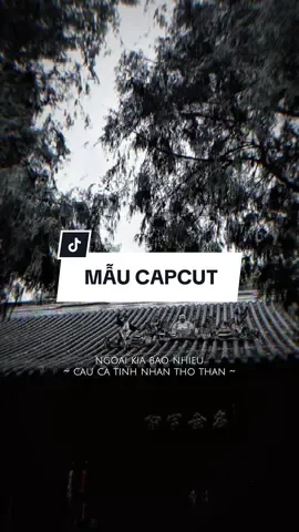 Ngoài kia bao nhiêu câu ca tình nhân thở than khắp.. #CapCut #nhachaymoingay #xh #capcutmaster #capcut #capcutpioneer #pioneertemplate 