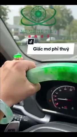 Ước mơ bao người 🤩#xiexiephithuy #ngoccamthachphithuy #tiktokviral #jadeite #trending #xuhuong #viral #ngoctunhien #phithuy #fyp 