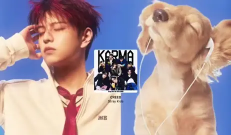I'M OBSESSED WITH LAZY VOICE🛐🏅 #straykids #CEREMONY #KARMA #skzedit #fypシ゚ #4u 