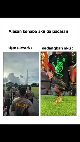 Idaman ibuk atau idaman bapak? #sungokong #fyp #pakhoy 
