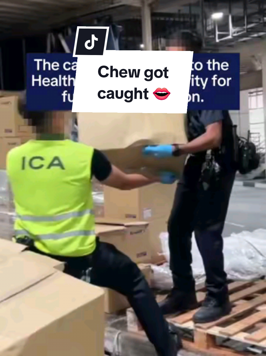 𝐂𝐡𝐞𝐰 𝐠𝐨𝐭 𝐜𝐚𝐮𝐠𝐡𝐭 👄  On 18 August 2025, ICA officers at Woodlands Checkpoint foiled an attempt to smuggle chewing tobacco into Singapore via a Malaysia-registered lorry. ICA Image Analysts noticed anomalies in the scanned images of the lorry and directed it for enhanced checks. More than 2,400 packets of chewing tobacco were found, hidden in the consignments. The case was referred to the Health Sciences Authority for further investigation. As Guardians of Our Borders, ICA is committed to facilitating trade & travel while keeping Singapore’s borders safe & secure. #ICA #GuardiansOfOurBorders #SecureBordersSafeSG