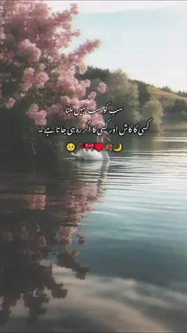 Reality!! 🥺❤️‍🩹_____🎀