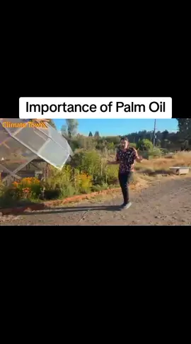 Climate Town talks about the importance of Palm oil #fyp #palm #oil #viral 