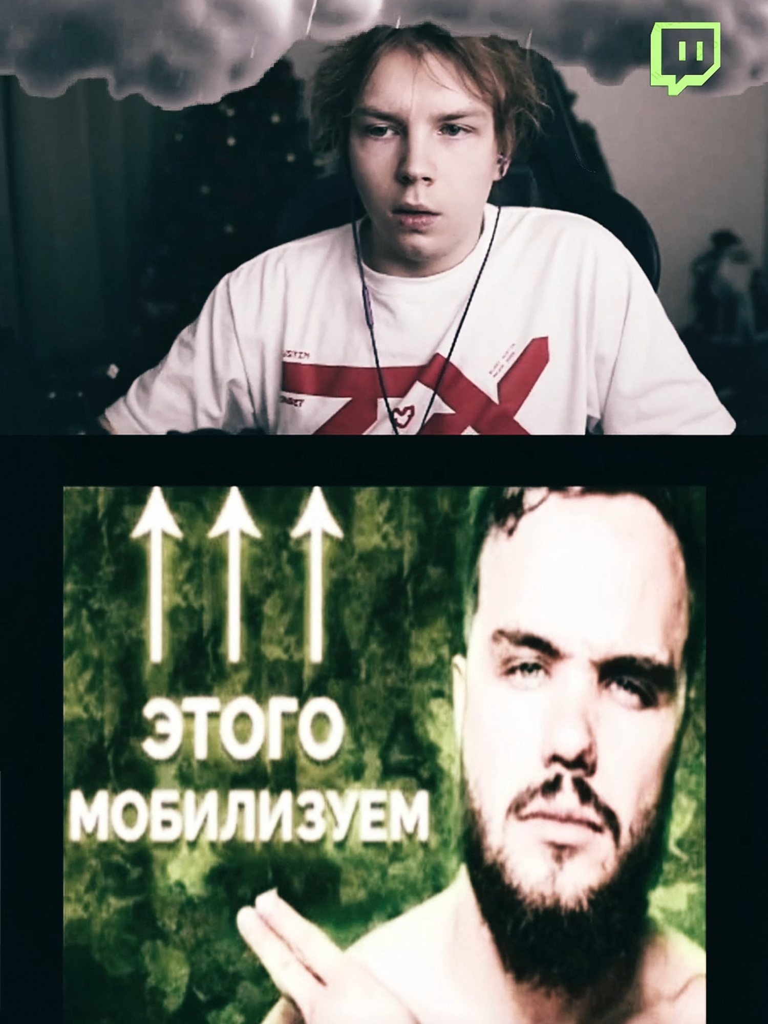 Что за лев этот тигр twitch:strogo #strogo1337 #strogo #twitch #by_owl #sasavot #deko #buster #evelone