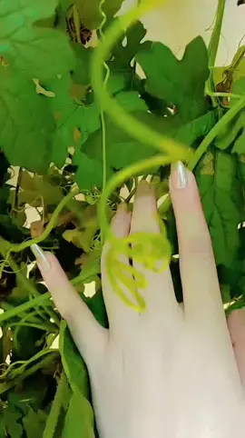 🦋🥀🦋