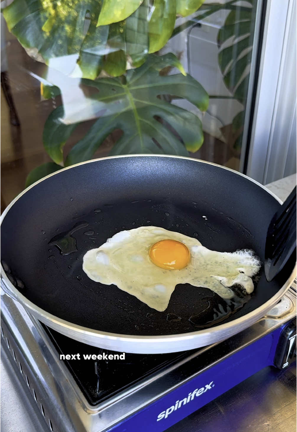 Tag that special someone who owes you breakfast tacos 🌮 #highprotein #EasyRecipes #breakfast #quickrecipes #easycooking 