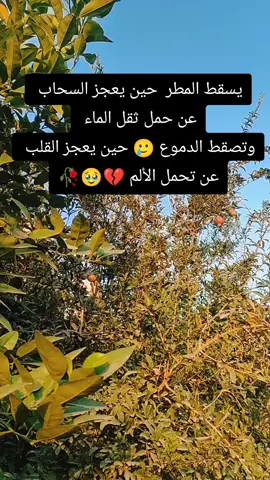 #متابعه_ولايك_واكسبلور_احبكم 