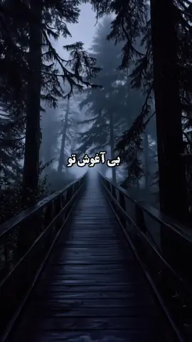 #آهنگ_جدید #afghani #afghanistan🇦🇫 #آهنگ_ایرانی #آهنگ_افغانی 