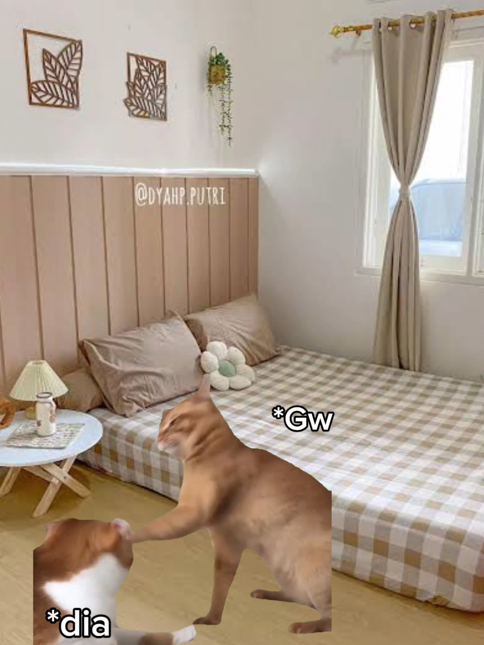 Pengin aja gitu hehe 🤭 #meme #memekucing #kucingtiktok #kucinglucu #fyppppppppppppppppppppppp 
