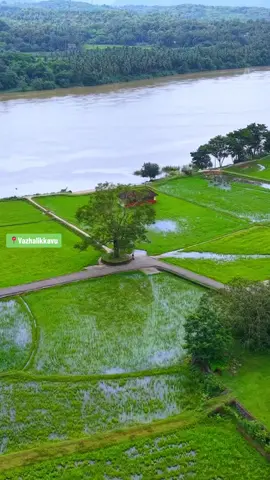 വാഴാലിക്കാവ് 🥳❤️