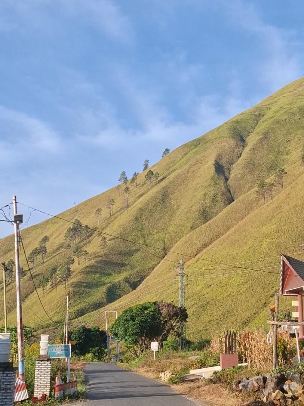 Semoga Cepat Piluh & Menghijau kembali  #silahisabungan #paroponauli #kemaraupanjang #danautoba #geopark 