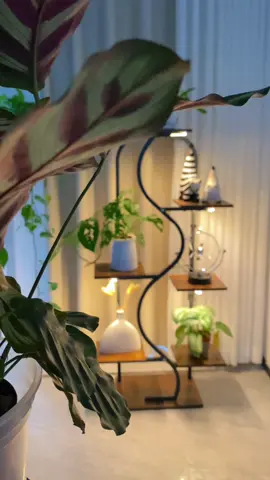Shop at @Bestlead US #olebrandselect #fentysuperbrandday #plantstand #flowershop #homedecorinspo 