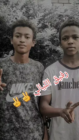 الليالي 