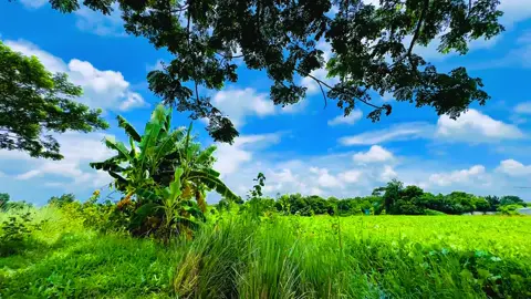 আল্লাহ আমাদের সবাইকে হেদায়েত দান করুন…❤️‍🩹 #foryou 