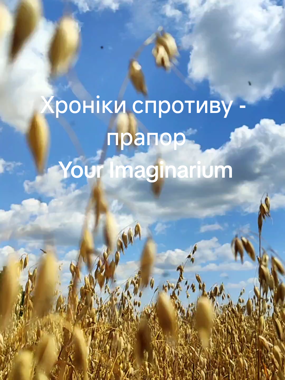 Хроніки спротиву - прапор Your Imaginarium #українськіпісні #українськамузика #хітиукраїни #прапор 