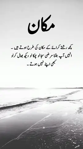 right #foryou #foryoupage #quotes 