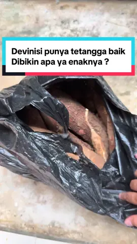 Tetangga baik kl abis panen di kasih sekresek, gini kan bingung mau dibuat apa #singkong #fyp 