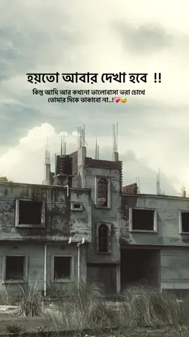 হয়তো আবার দেখা হবে কিন্তু আমি আর কখনো ভালোবাসা ভরা চোখে তোমার দিকে তাকাবো না...! ❤️‍🩹😅#typ #unfrezzmyaccount #fouryou #foryoupage #1millionaudition @TikTok @TikTok Bangladesh @For You @everyone 