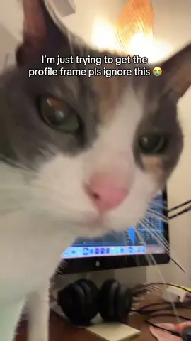 Sage says stream Karma #CEREMONY #straykids #skz 