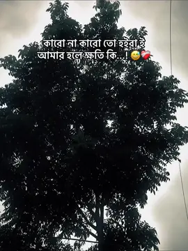 কারো না কারো তো হইবা ই আমার হলে ক্ষতি কি...! 😅❤️‍🩹#captionvideo #foryou #foryoupage #CapCut 