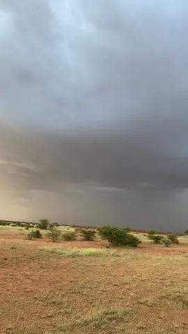 Weli adigoo geel La Jooga Roob ma kugu heley meel cidlo ah🌴🌧️#viralvideos #tik_tok #fypシ゚ #1millionaudition #baadiye🔥🌅🌴 #culture #geeljire_jacayl_galey🐪♥️ 