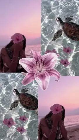 #pourtoi #été ✨🌺