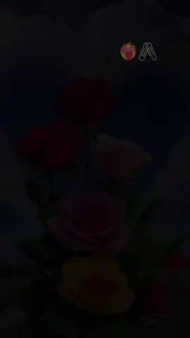 #duet with @💢𝐋𝐨𝐯𝐞 𝐒𝐭𝐨𝐫𝐞🌹✨💥🎁 #CapCut @abdii jimmaa 