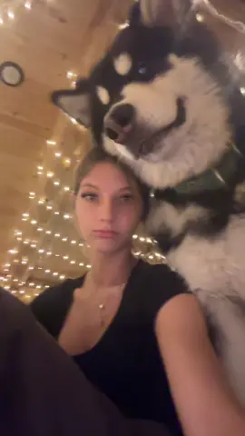 #dog #fyp #missedcall 