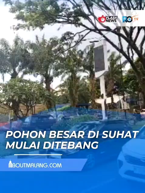 Beberapa pohon di sepanjang Jalan Soekarno Hatta (Suhat), Kota Malang, sudah mulai ditebang. Warga khawatir suasana teduh dan rindang yang menjadi ciri khas jalan ini akan hilang. #Suhat #KotaMalang #PohonDitebang #SuhatRindang
