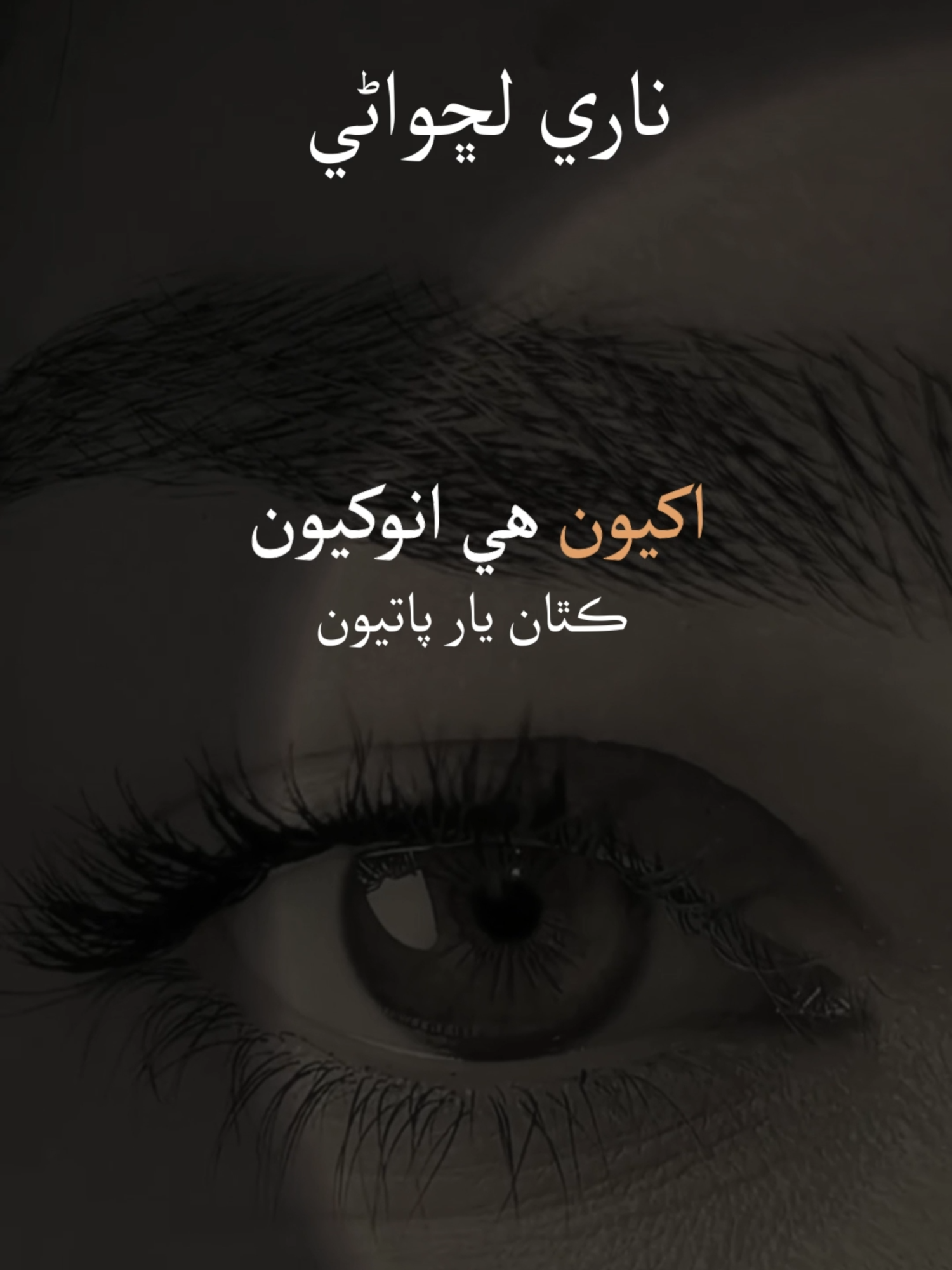 Sindhi Poetry | Naari Lachwani ناري لڇواڻي | Akhyun He Anokhyun Kithan Yaar Paatyun اکيون هي انوکيون ڪٿان يار پاتيون #fyp #fypシ゚viral🖤tiktok #dialogue #foryoupage❤️❤️ #trends #statusvideo #insta #youtubers #poetry #shayari #poetrystatus💔 #poetrystatus #sarwanlaghari #kalaam.e.bismil #best #sindhi #ustadbukhari #sindhipoetry #whatsappstatus #سنڌي_سنگت_فالو_۽سپورٽ_ڪيو✔ #naarilachhwani #ناري -ڇواڻي