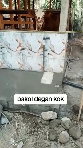 inpone seng seger