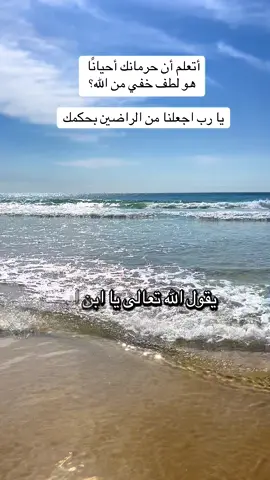 🌿🌿سبحانك ياالله #محاضرات #السيد #حسن #كلام_يريح_القلب #beach 