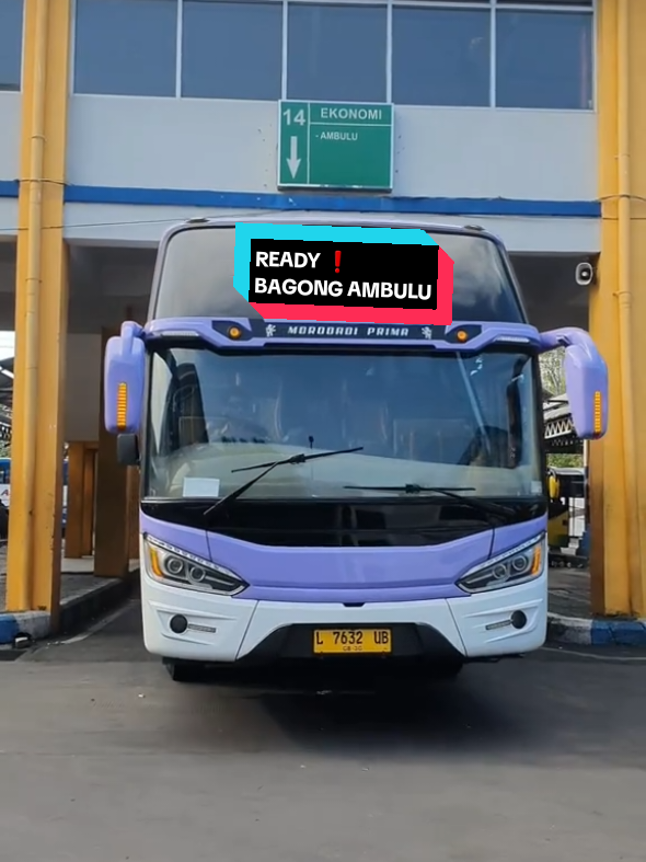 SEGERA BAGONG,DI JALUR SURABAYA-PROBOLINGGO-LUMAJANG-KENCONG-AMBULU #terminalbungurasih #terminalbungurasihsurabaya #terminalbus #terminalbus #bagongbus 