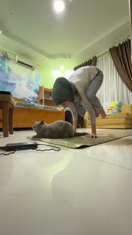 online session dimandorin bude kei🦭🧘🏻‍♀️ #yogatok #advance #yogaflow #vinyasa #catsoftiktok #bude 