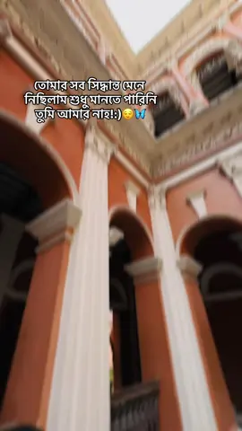তোমার সব সিদ্ধান্ত মেনে নিছিলাম শুধু মানতে পারিনি তুমি আমার নাহ!:)😌🦋#CapCut 
