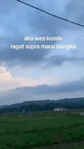 musmet tenan#suprabapak#suprax100modifikasi#supraindonesia#masukberandafyp#fyppppp