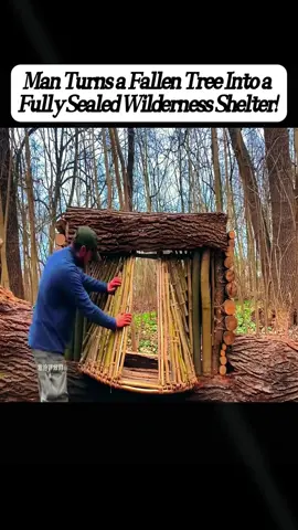 #build #camping #nature #cave