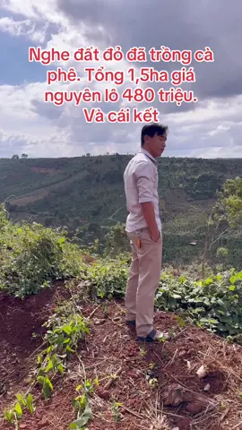 #xuhuớng #nhadatdaknong #caysanvuondakdoa #nhadatgiare 