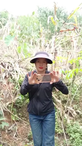 chụt vài tấm để được làm kỉ niệm nha a trâu 🐃🐃 muốn anh tiktok cho lên xu hướng #xuhuong #chicheshop #viralvideo #atrau #contrau 