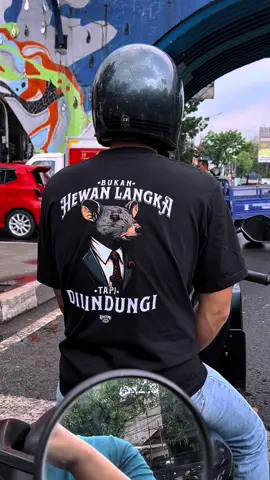 TIDAK LANGKA TAPI DI LINDUNGI NEGARA. #tikusberdasi #tikuskantor #wibgajian #fypage 