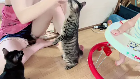 離乳食を食す息子
